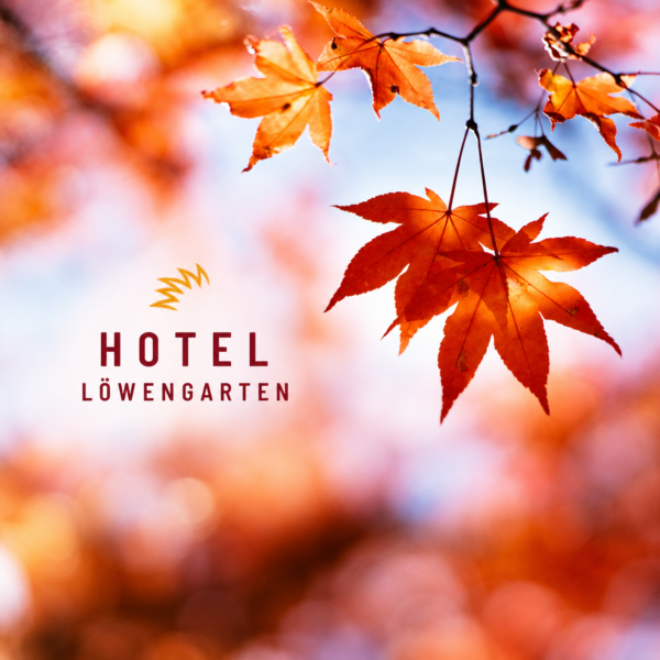Goldener Herbst in Speyer: Tipps und Ausflugsziele