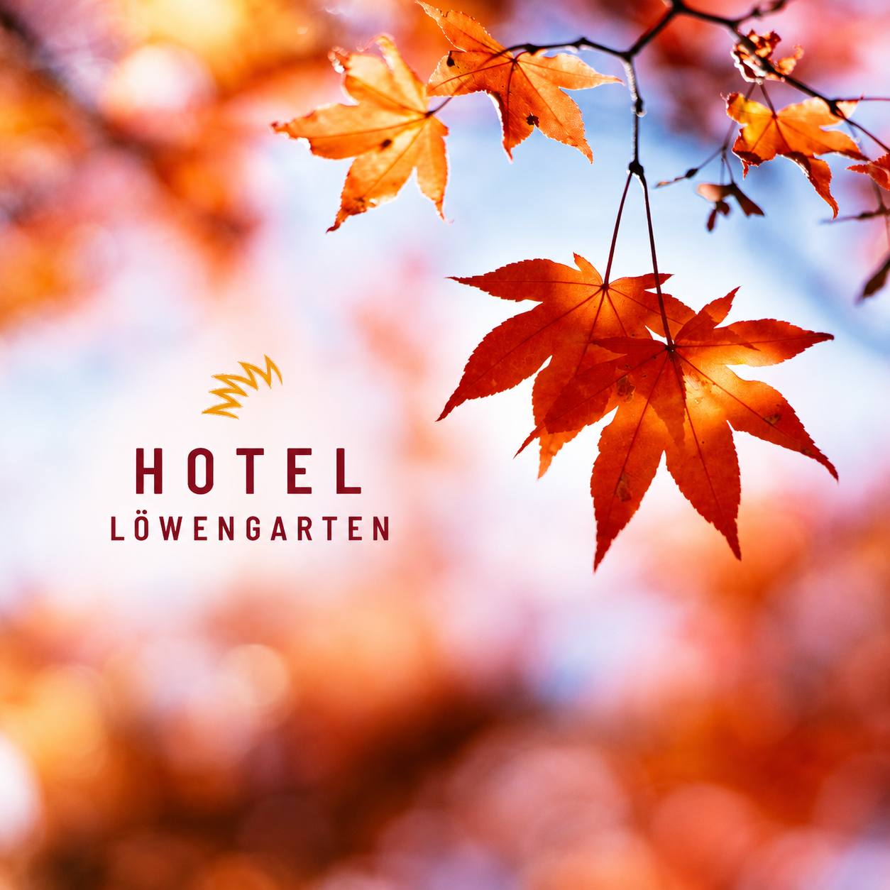 Goldener Herbst in Speyer: Tipps und Ausflugsziele